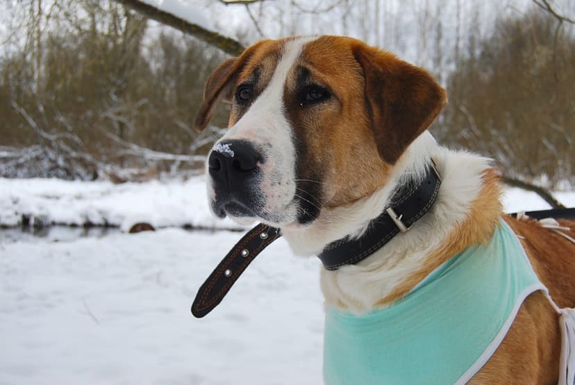 Манюня