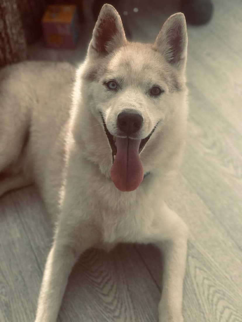 Каин