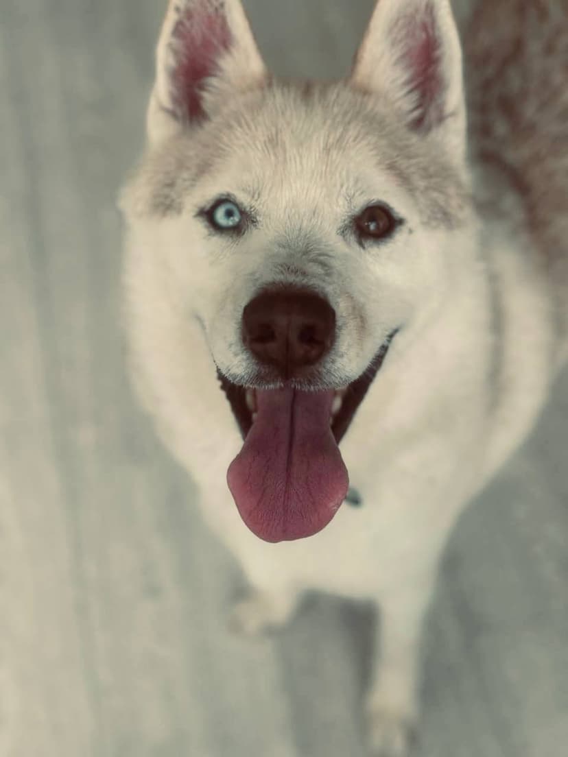 Каин