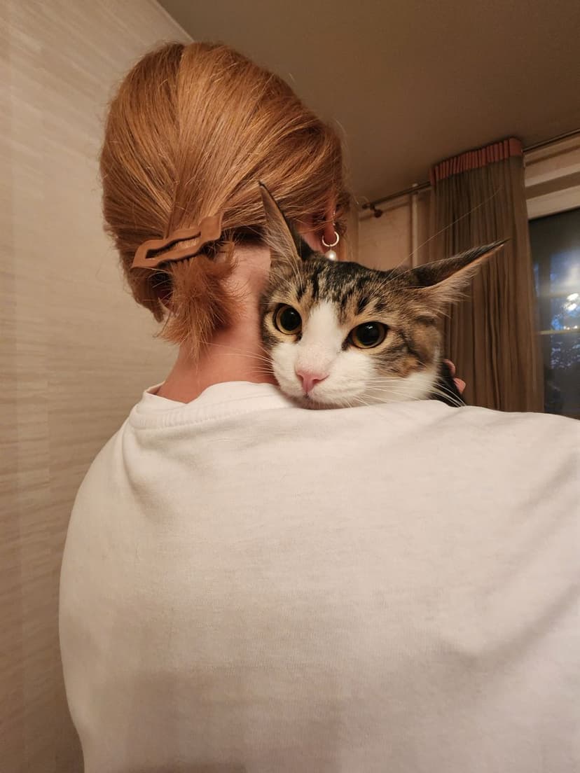 Гаечка