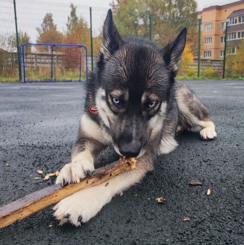 Джуна