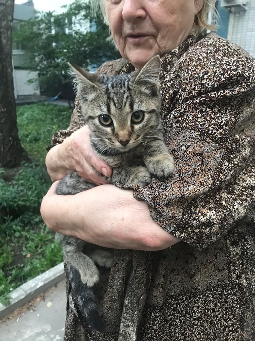 Оливка