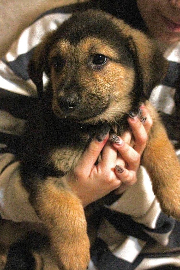 Рик