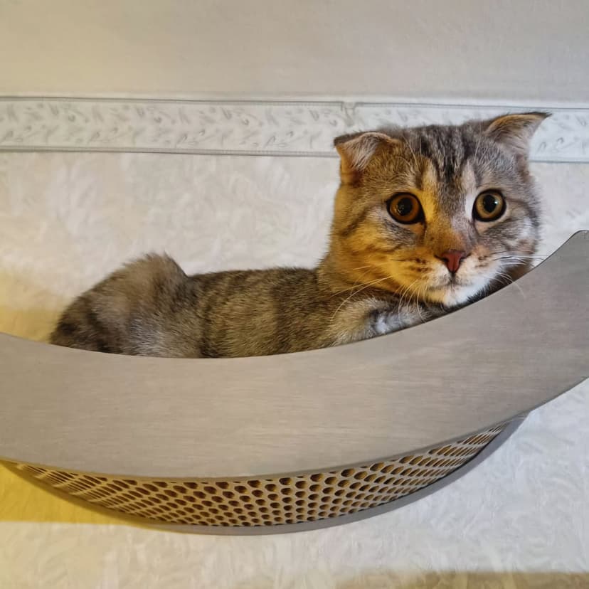 Матроскин