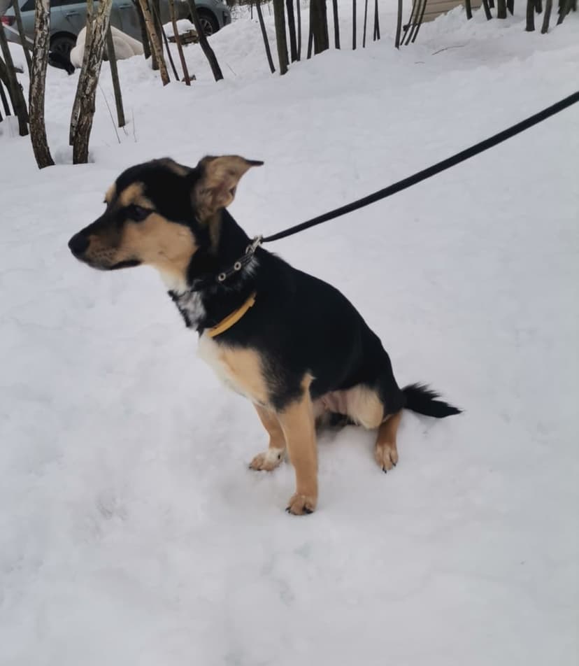 Стрелочка