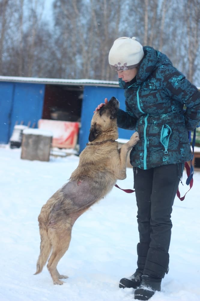 Волга