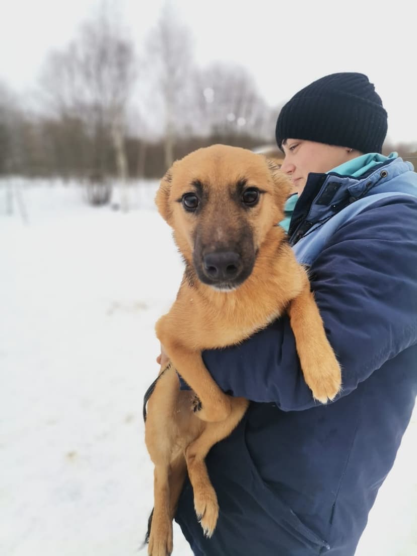 Макс