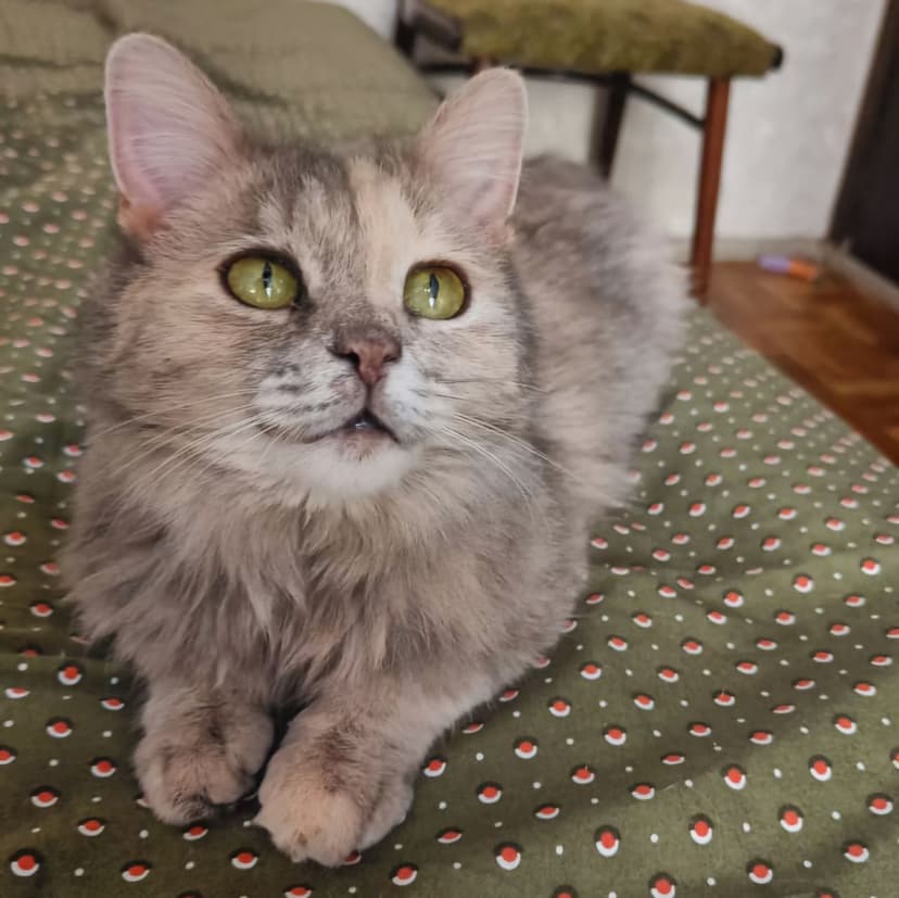Марта