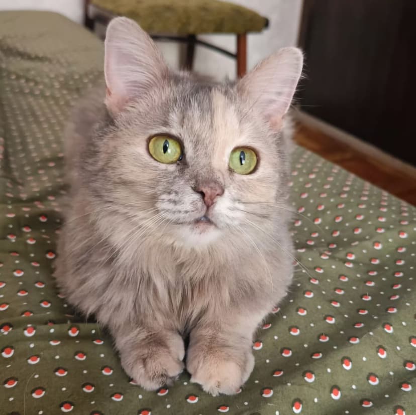 Марта