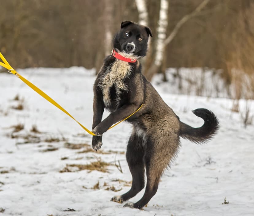 Юта