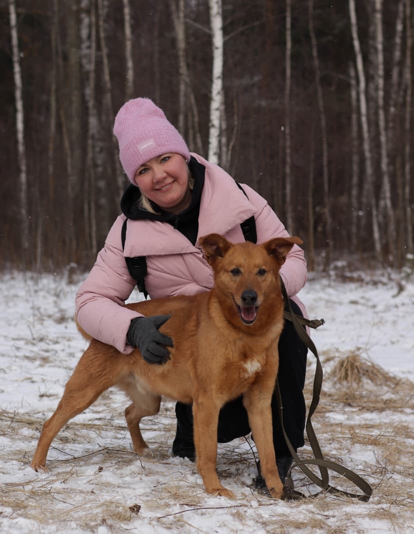 Болик