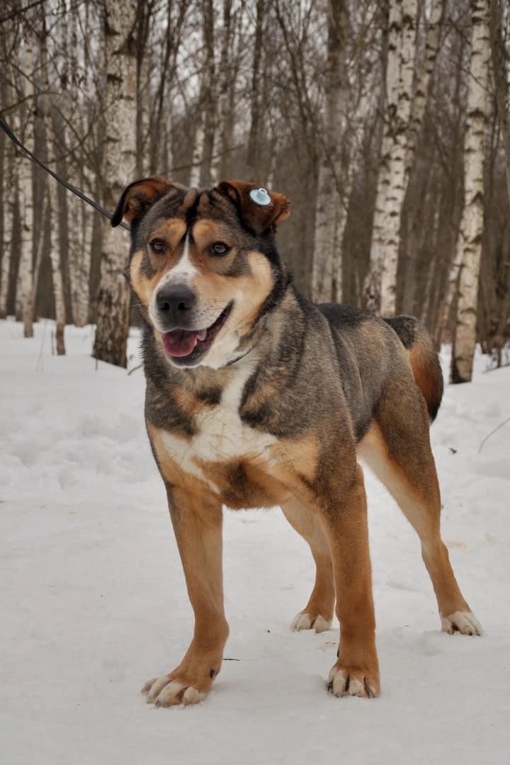 Джек