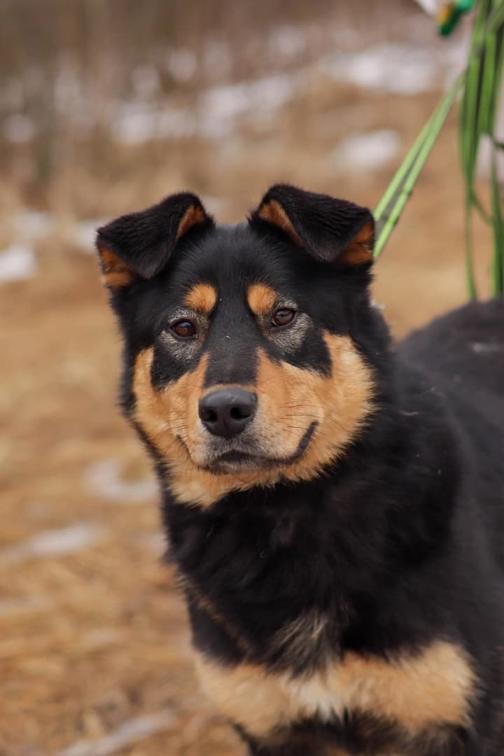 Тэн