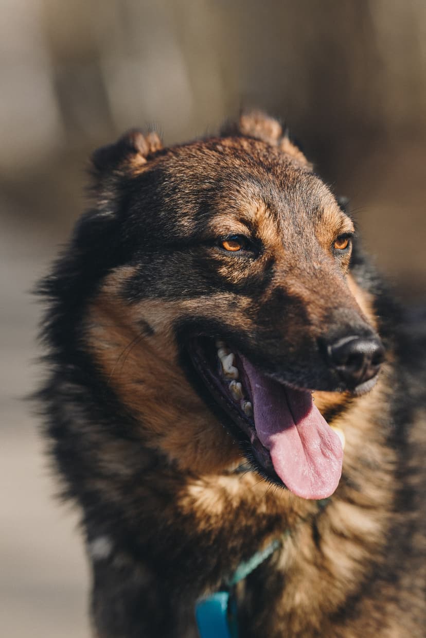 Бильбо