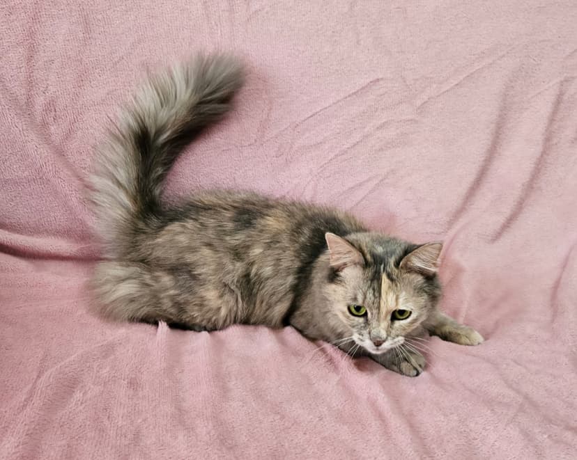 Марта