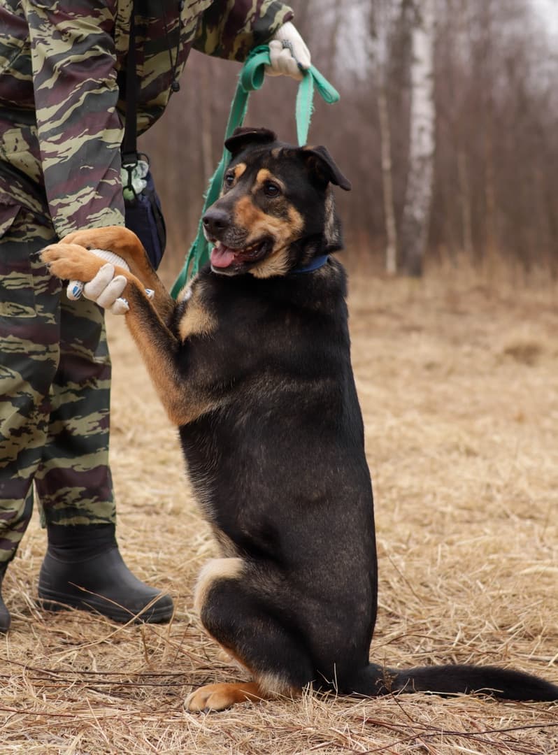 Озон