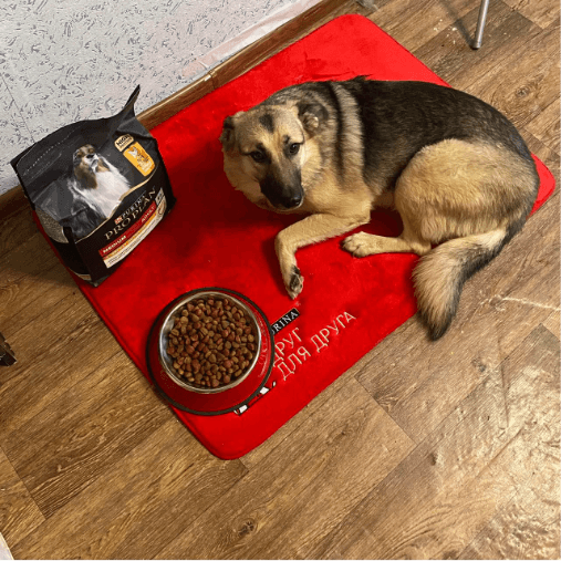 Счастливая история