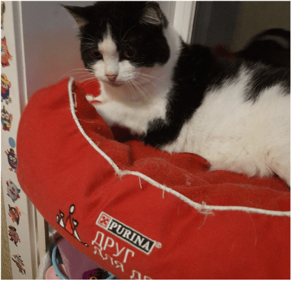 Счастливая история