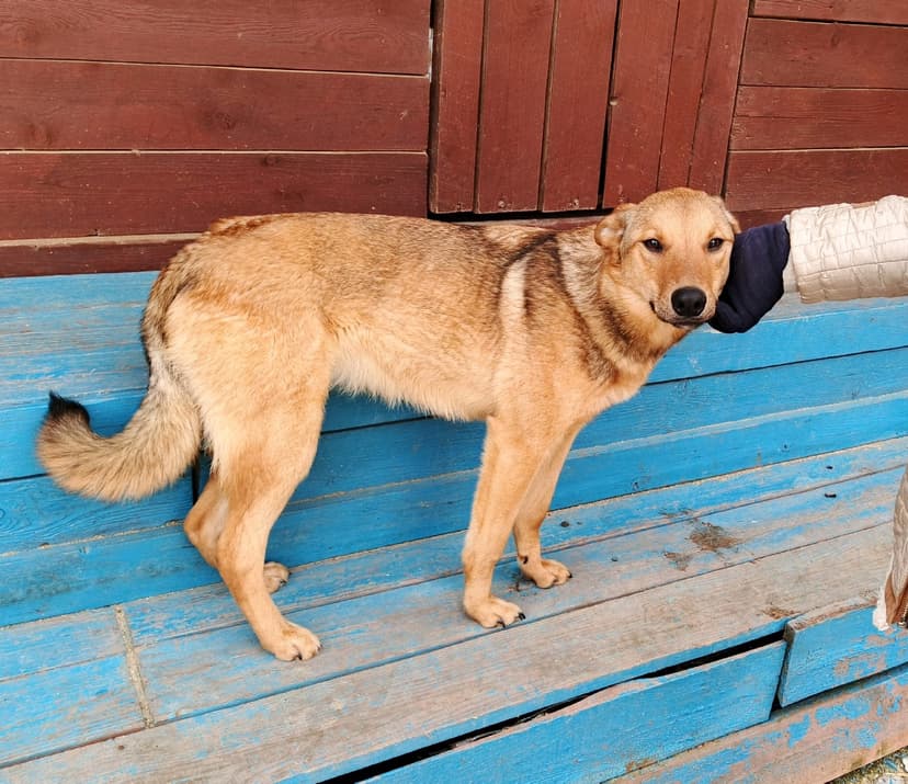 Тайна