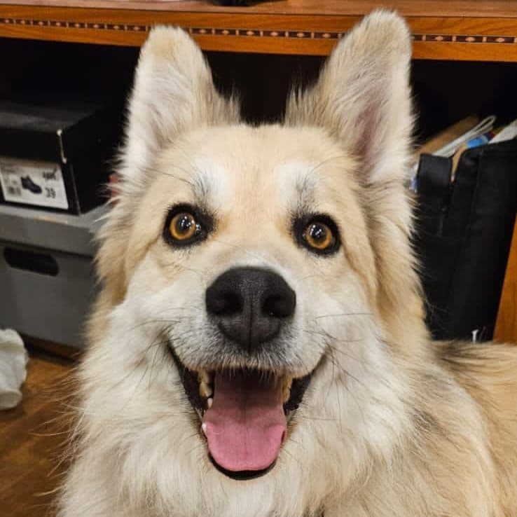 Рик