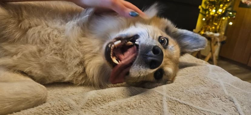 Рик
