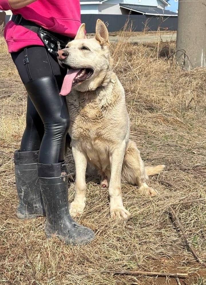 Рон