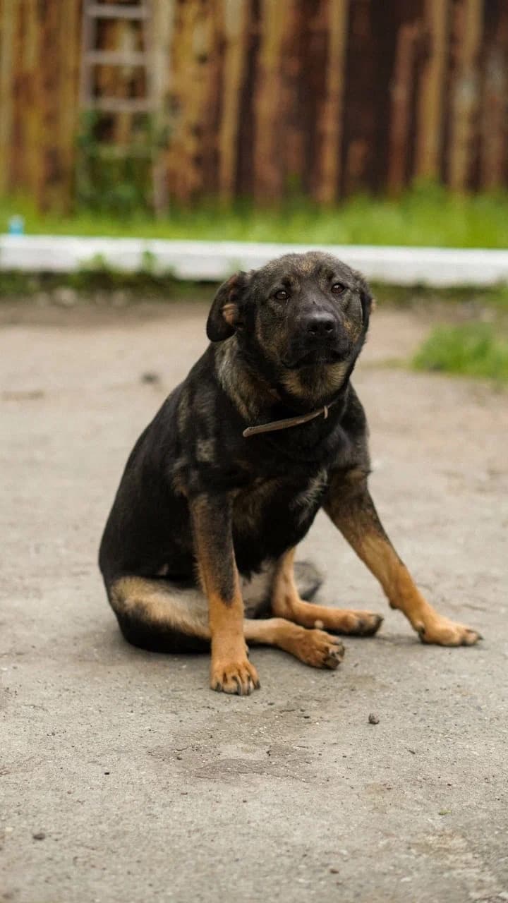 Нюра