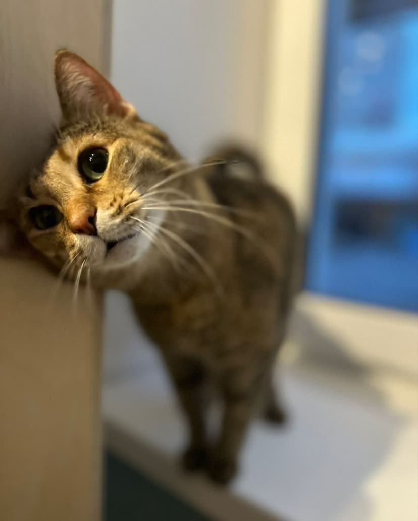 Марта
