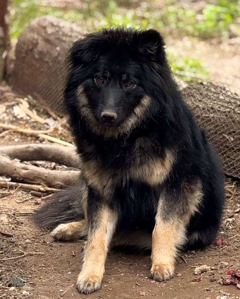 Марта