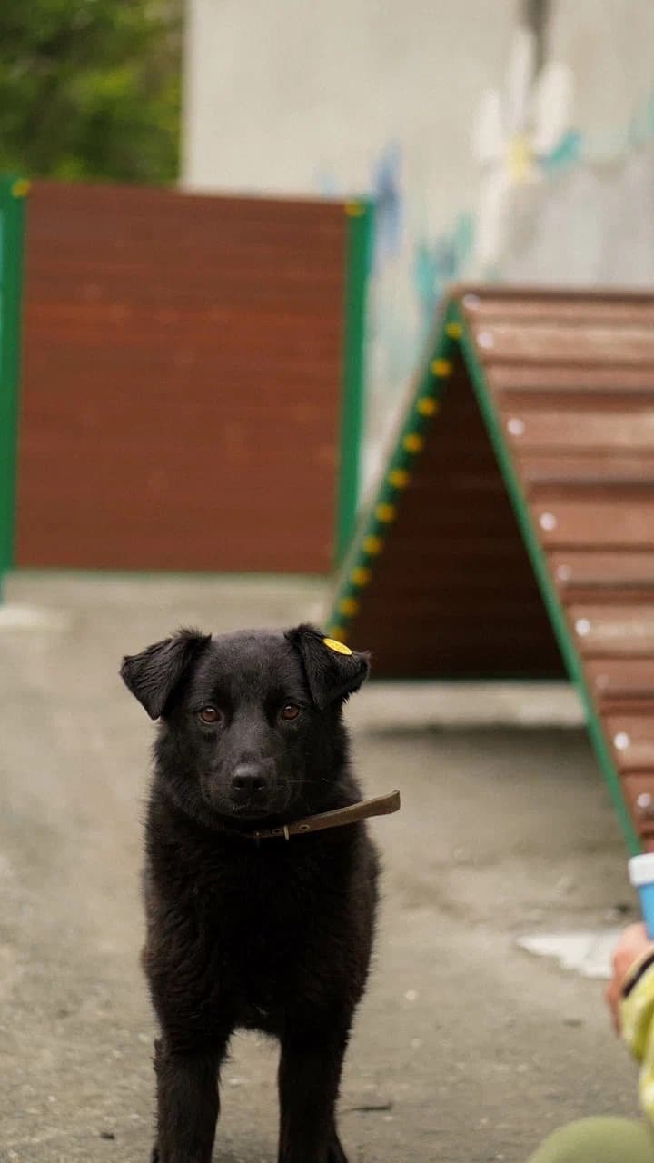 Валя
