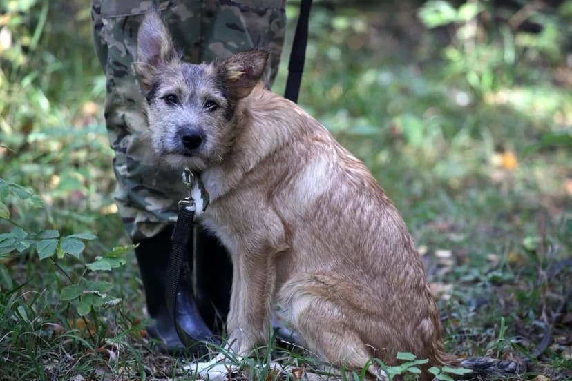 Юна