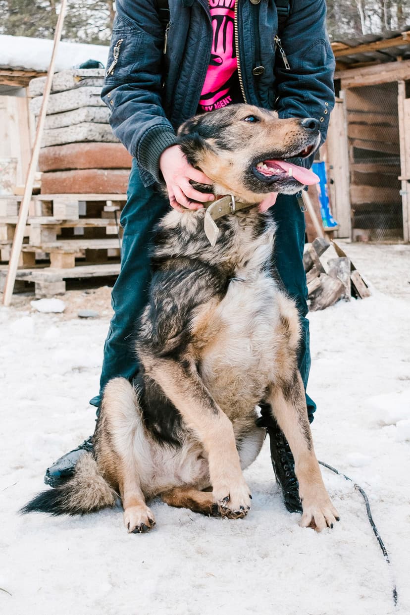 Жулик