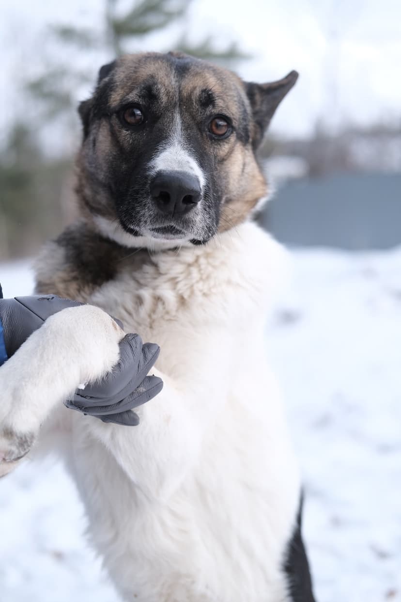 Пятница
