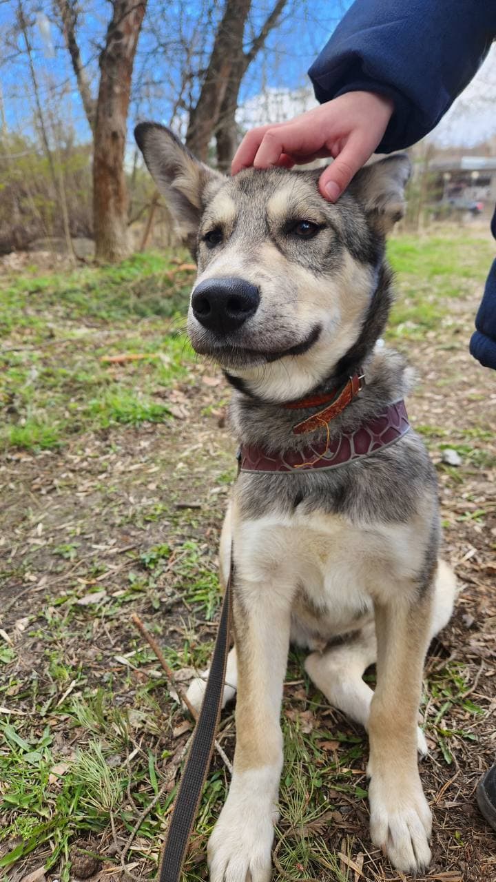 Тихон