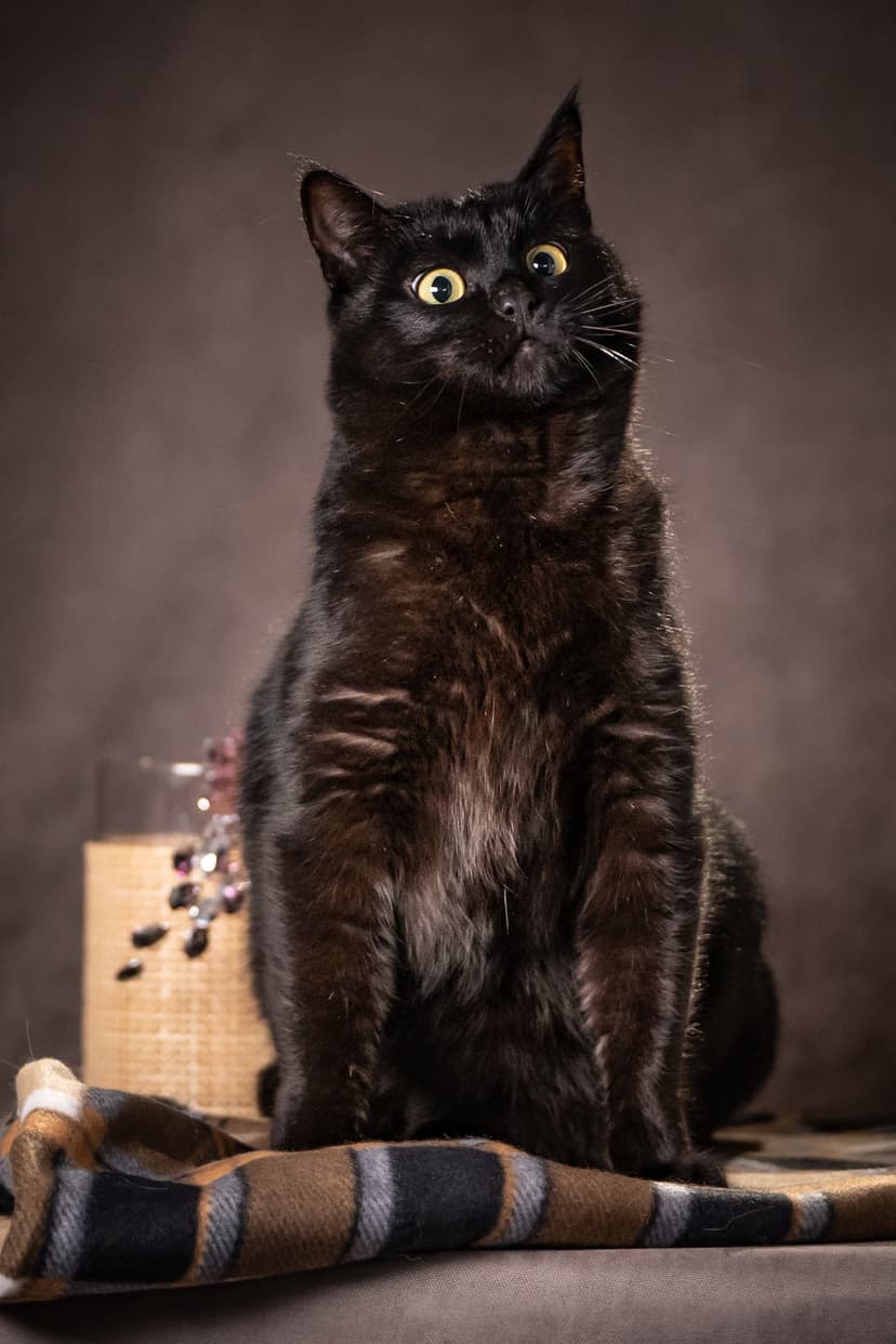 Кэш