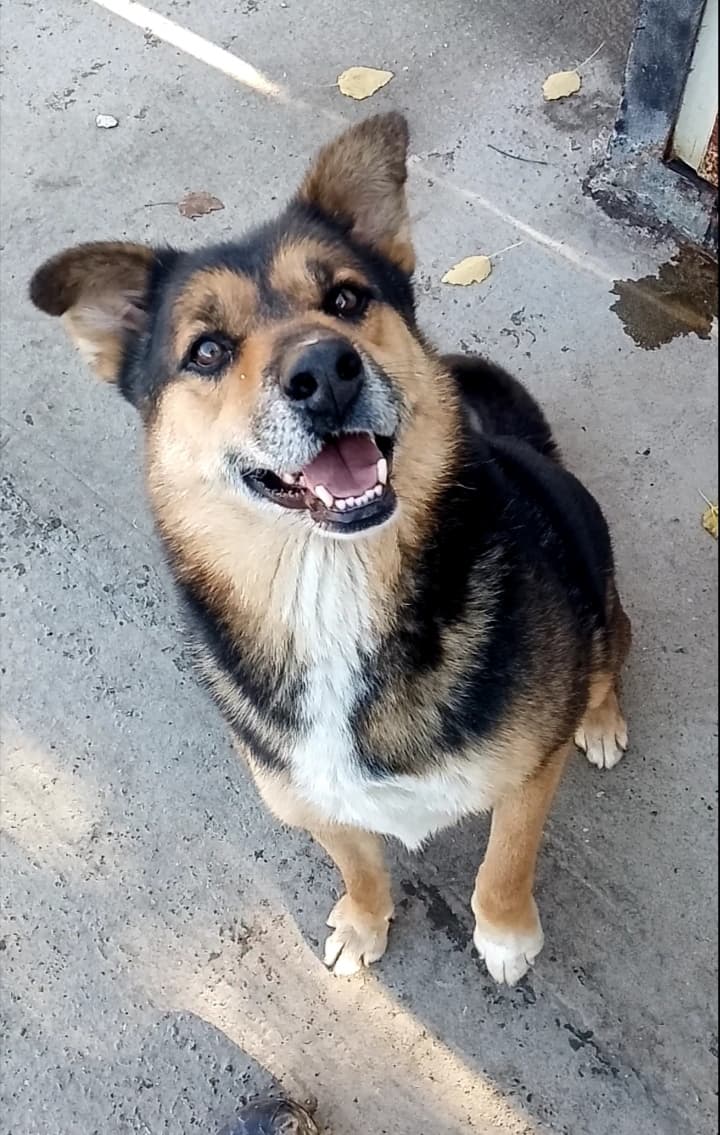 Каха
