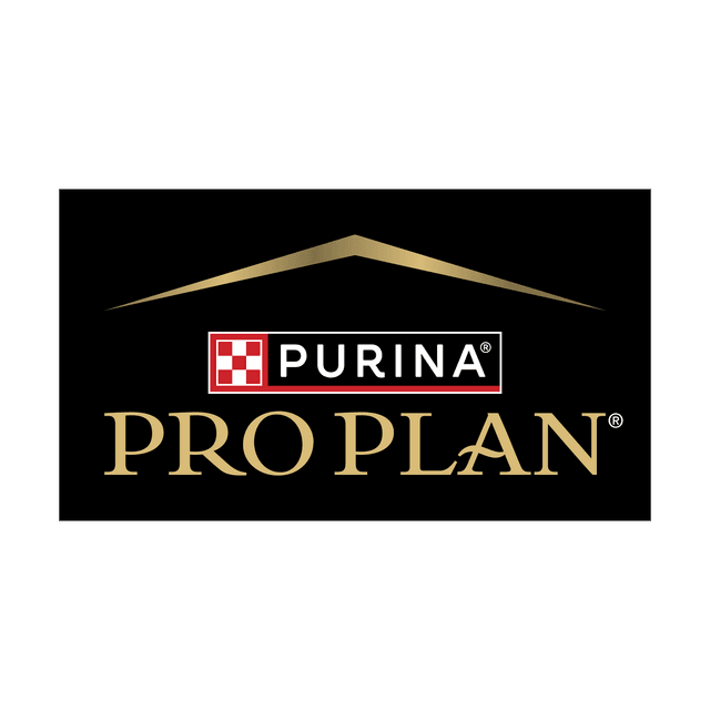 Pro Plan