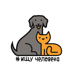 Ищу человека