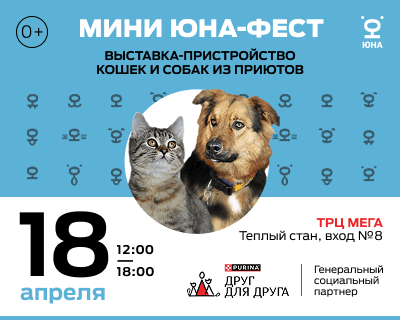 Большая любовь на «Мини Юна-Фесте»!