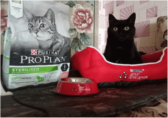 Счастливая история