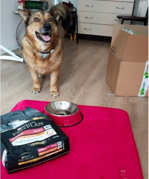 Счастливая история