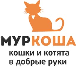 Муркоша
