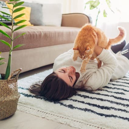 Влияние кошек на жизнь и здоровье человека
