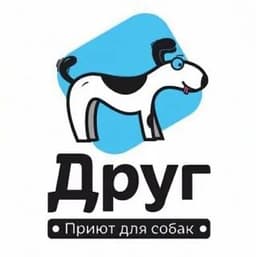 Друг, Санкт-Петербург