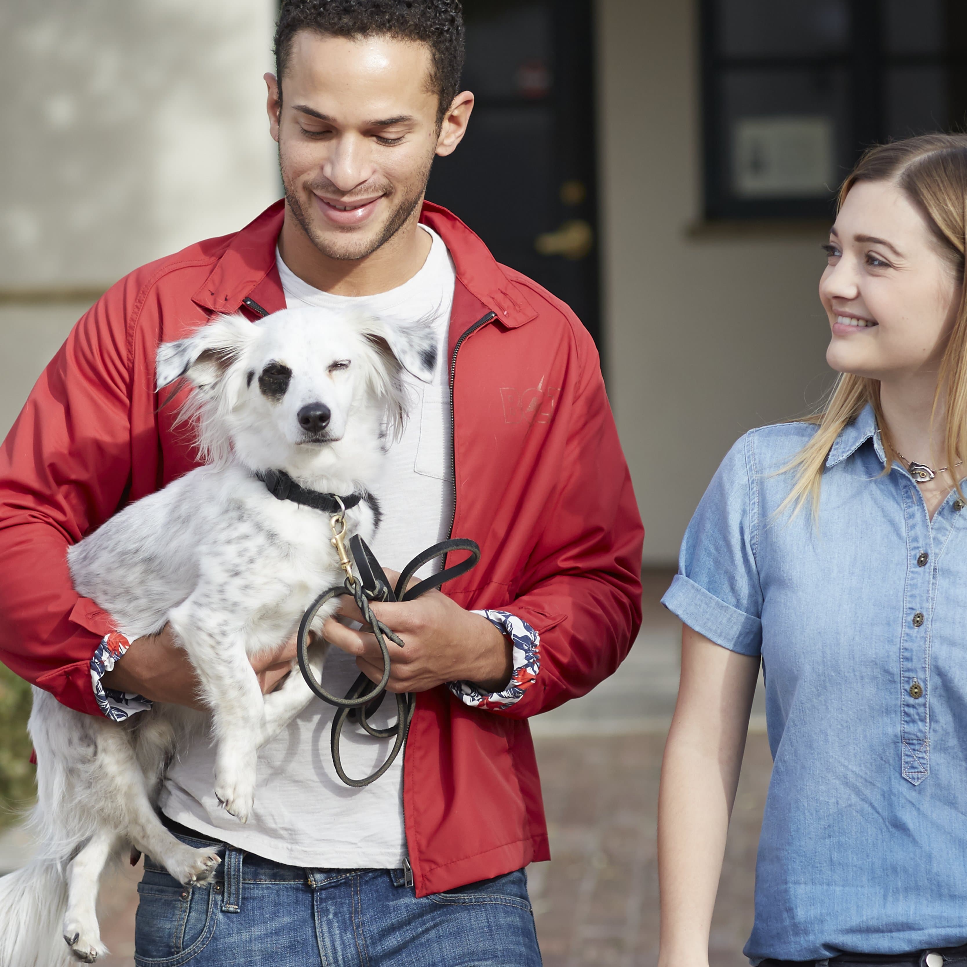 Как взять собаку из приюта?