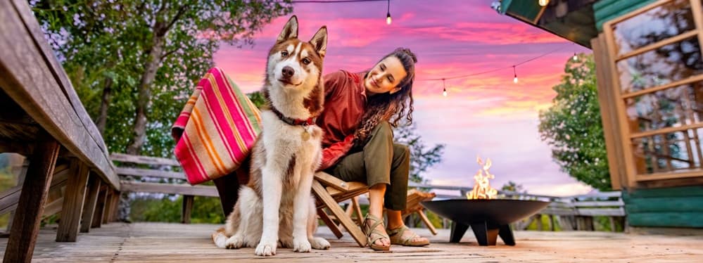 Почему собаки боятся салютов