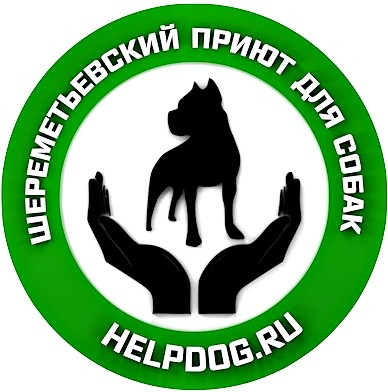 Добрые Руки Фото Добрые Руки Фото