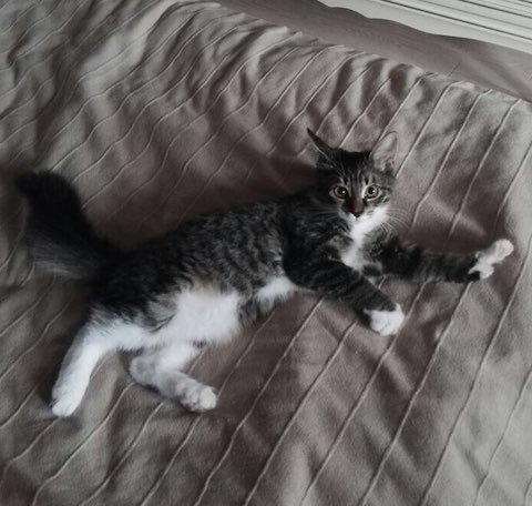 Друг, который мне приснился!