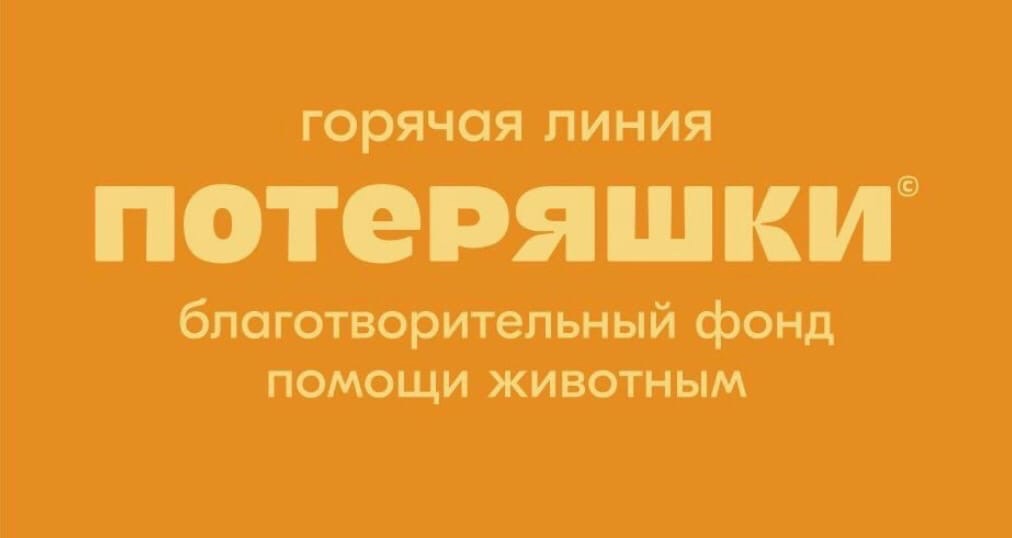 Потеряшки