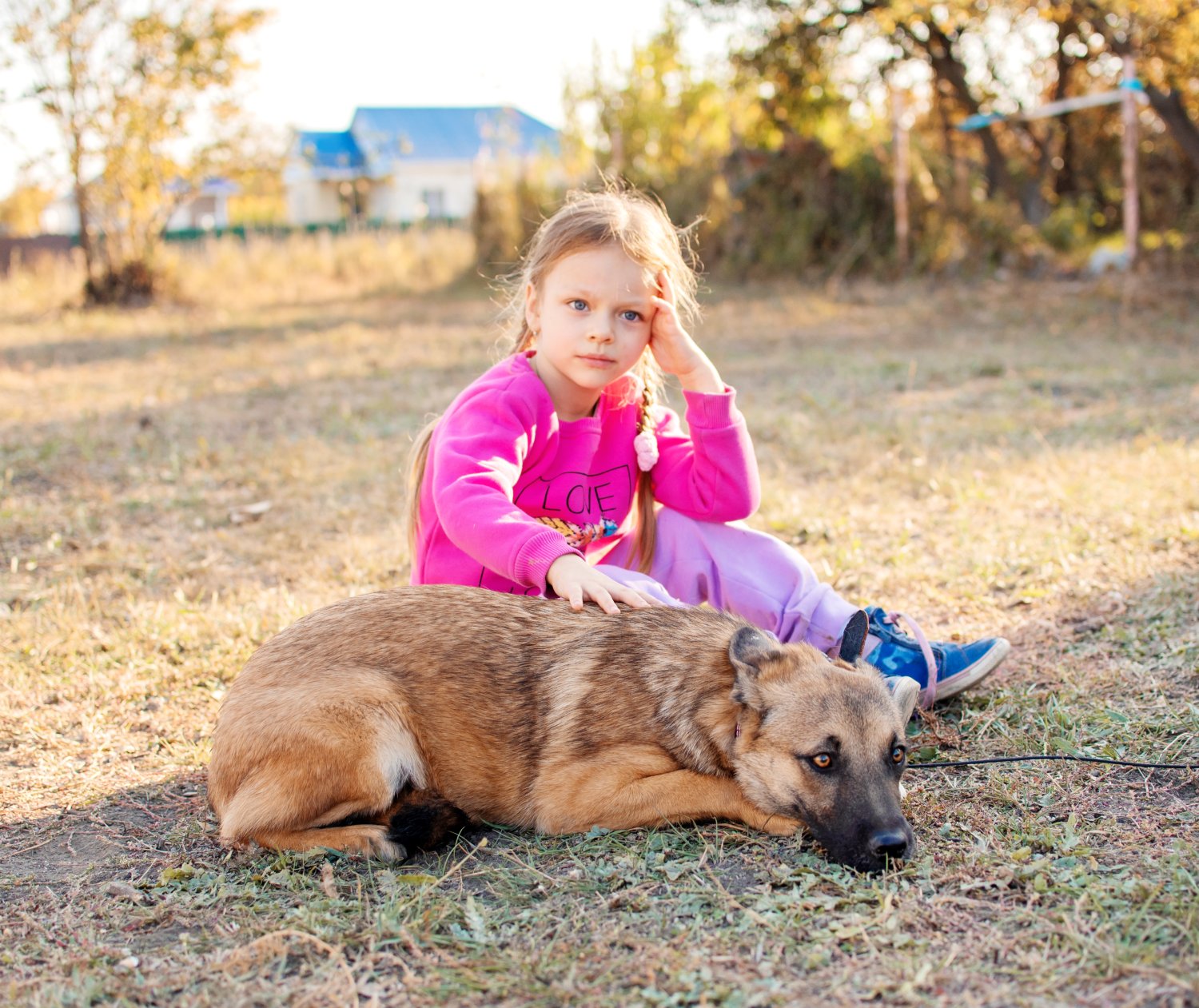 Robbie s dog roxy was. Лиса домашняя черная на поводке. Собака смотрит в пол. Fast eddie - let me sip my drink. Robbie rivera feat.